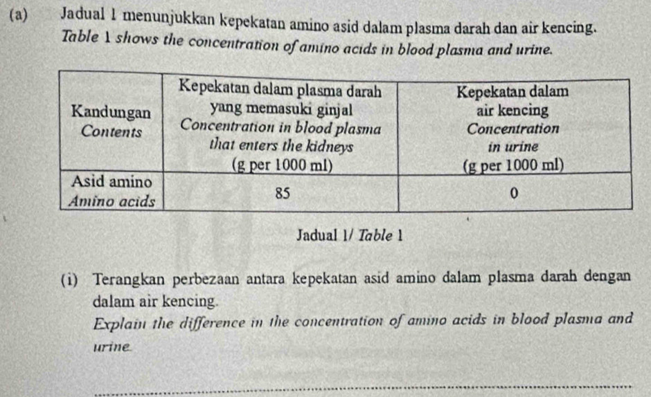 Jadual 1 menunjukkan kepekatan amino asid dalam plasma darah dan air kencing. 
Table 1 shows the concentration of amino acids in blood plasma and urine. 
Jadual 1/ Table 1 
(i) Terangkan perbezaan antara kepekatan asid amino dalam plasma darah dengan 
dalam air kencing. 
Explain the difference in the concentration of amino acids in blood plasma and 
urine 
_