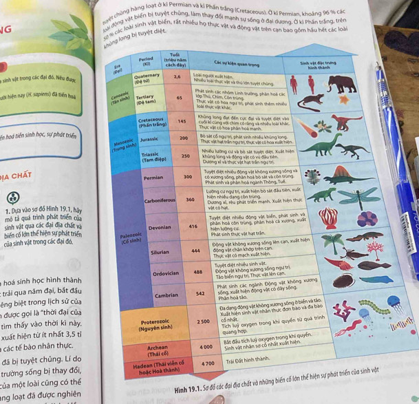 hyệt chủng hàng loạt ở kỉ Permian và kỉ Phần trắng (Cretaceous). Ở ki Permian, khoảng 96 % các 
G 
đoại động vật biến bị tuyệt chủng, làm thay đổi mạnh sự sống ở đại dương, Ở kị Phần trắng, trên 
các loài sinh vật biển, rất nhiều họ thực vật và động vật trên can bao gồm hầu hét các loài 
bị tuyệt diệt. 
là sinh vật trong các đại đó. Nêu được 
hời hiện nay (N. sopiens) đã tiến hoa 
ến hoá tiền sinh học, sự phát triển 
Địa chất 
o 
1. Dựa vào sơ đồ Hình 19.1, hãy 
mô tả quá trình phát triển của 
sinh vật qua các đại địa chất và 
biển cố lớn thể hiện sự phát triển 
5 
của sinh vật trong các đại đó. 
: 
hoá sinh học hình thành 
: trải qua năm đại, bắt đầu 
bêng biệt trong lịch sử của 
h được gọi là "thời đại của 
xuất hiện từ ít nhất 3, 5 tỉ 
tìm thấy vào thời kì này, 
a các tế bào nhân thực. 
đã bị tuyệt chủng. Lí do 
trường sống bị thay đổi, 
của một loài cũng có thể 
Hình 19.1. Sơ độ các đại địa ch 
ang loạt đã được nghiên