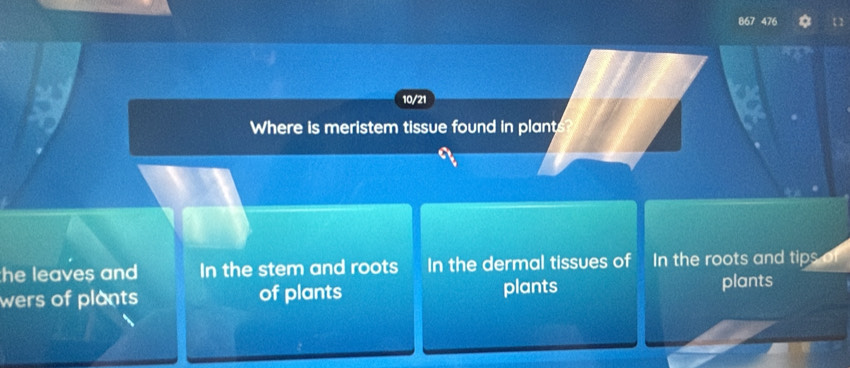 867 476 
10/21 
Where is meristem tissue found in plant 
he leaves and In the stem and roots In the dermal tissues of In the roots and tips of 
wers of plants of plants plants plants