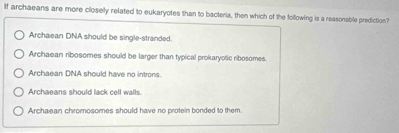 If archaeans are more closely related to eukaryotes than to bacteria, then which of the following is a reasonable prediction?
Archaean DNA should be single-stranded.
Archaean ribosomes should be larger than typical prokaryotic ribosomes.
Archaean DNA should have no introns.
Archaeans should lack cell walls.
Archaean chromosomes should have no protein bonded to them.