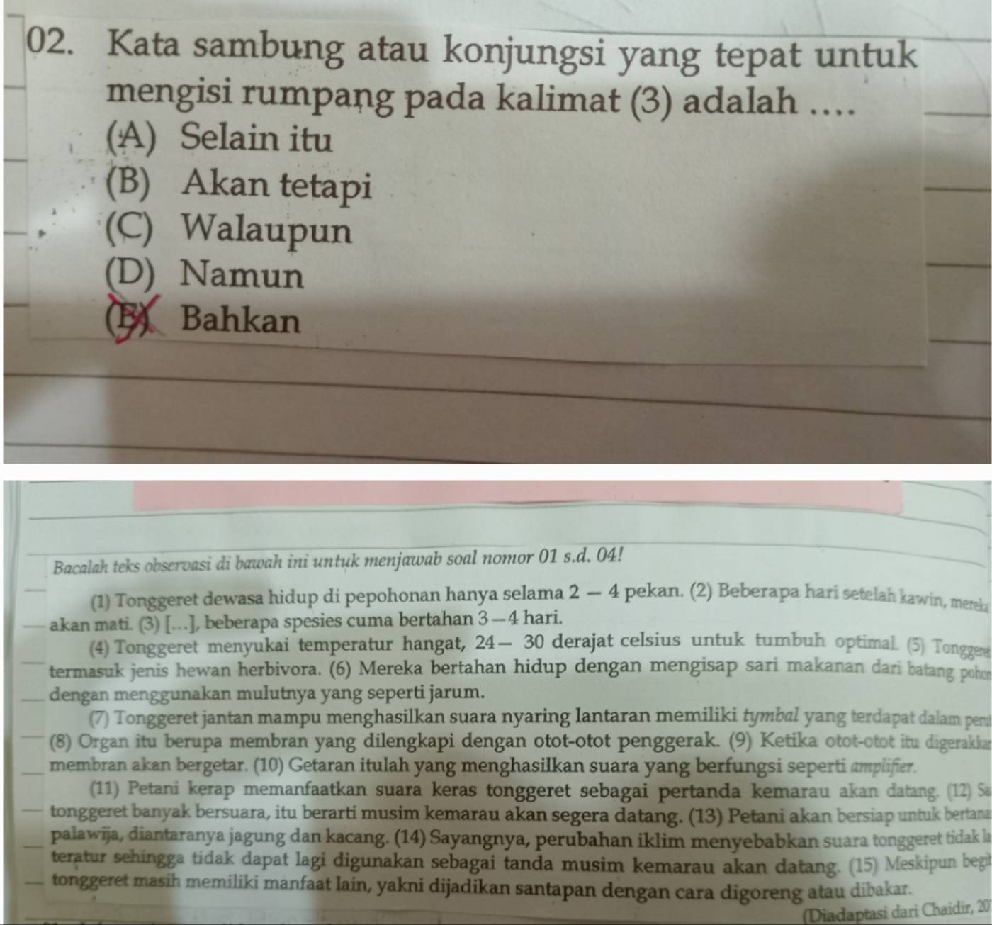 Kata sambung atau konjungsi yang tepat untuk
mengisi rumpang pada kalimat (3) adalah …
(A) Selain itu
(B) Akan tetapi
(C) Walaupun
(D) Namun
B) Bahkan
Bacalah teks observasi di bawah ini untuk menjawab soal nomor 01 s.d. 04!
(1) Tonggeret dewasa hidup di pepohonan hanya selama 2 — 4 pekan. (2) Beberapa hari setelah kawin, mereła
akan mati. (3) […], beberapa spesies cuma bertahan 3-4 hari.
(4) Tonggeret menyukai temperatur hangat, 24-30 derajat celsius untuk tumbuh optimal. (5) Tonggere
termasuk jenis hewan herbivora. (6) Mereka bertahan hidup dengan mengisap sari makanan dari batang poho
dengan menggunakan mulutnya yang seperti jarum.
(7) Tonggeret jantan mampu menghasilkan suara nyaring lantaran memiliki tymbal yang terdapat dalam pent
(8) Organ itu berupa membran yang dilengkapi dengan otot-otot penggerak. (9) Ketika otot-otot itu digerakkan
membran akan bergetar. (10) Getaran itulah yang menghasilkan suara yang berfungsi seperti amplifier.
(11) Petani kerap memanfaatkan suara keras tonggeret sebagai pertanda kemarau akan datang. (12) Sa
tonggeret banyak bersuara, itu berarti musim kemarau akan segera datang. (13) Petani akan bersiap untuk bertana
palawija, diantaranya jagung dan kacang. (14) Sayangnya, perubahan iklim menyebabkan suara tonggeret tidak la
teratur sehingga tidak dapat lagi digunakan sebagai tanda musim kemarau akan datang. (15) Meskipun begi
__ tonggeret masih memiliki manfaat lain, yakni dijadikan santapan dengan cara digoreng atau dibakar.
Diadaptasi dari Chaidir, 20