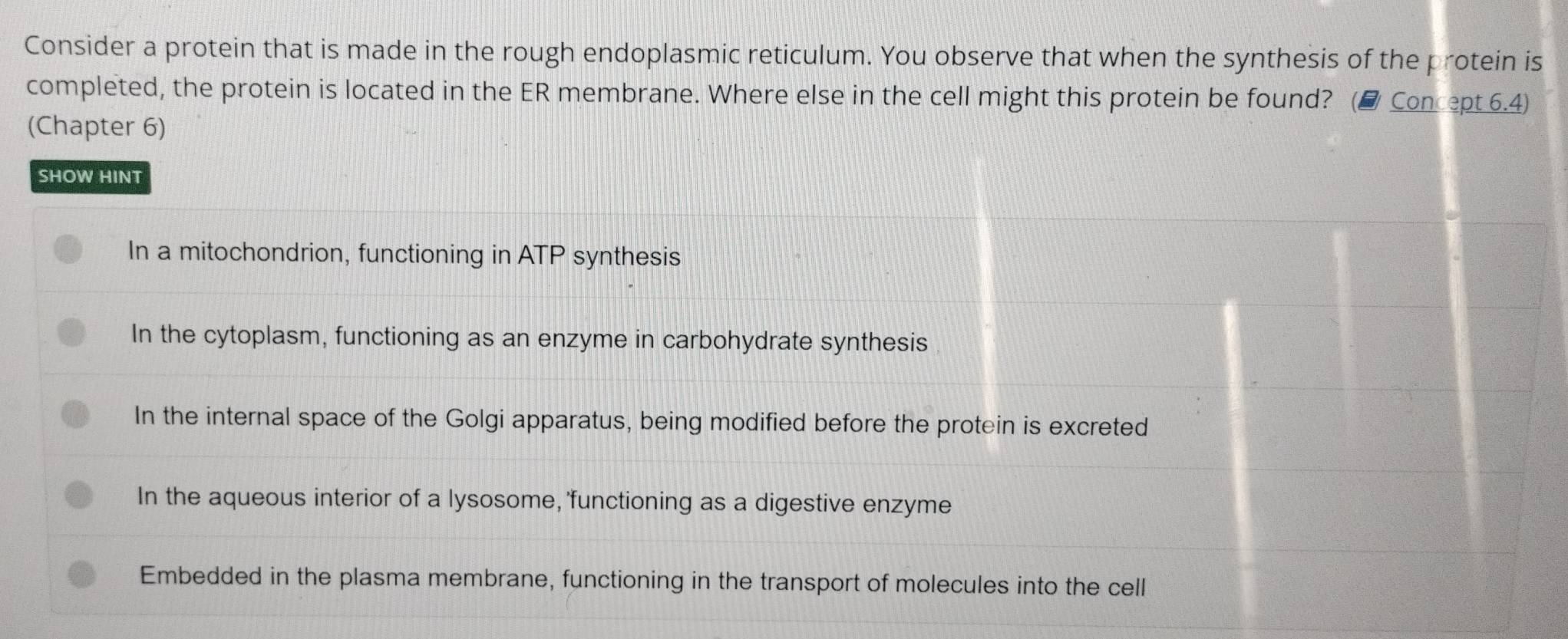 Solved: Consider a protein that is made in the rough endoplasmic ...