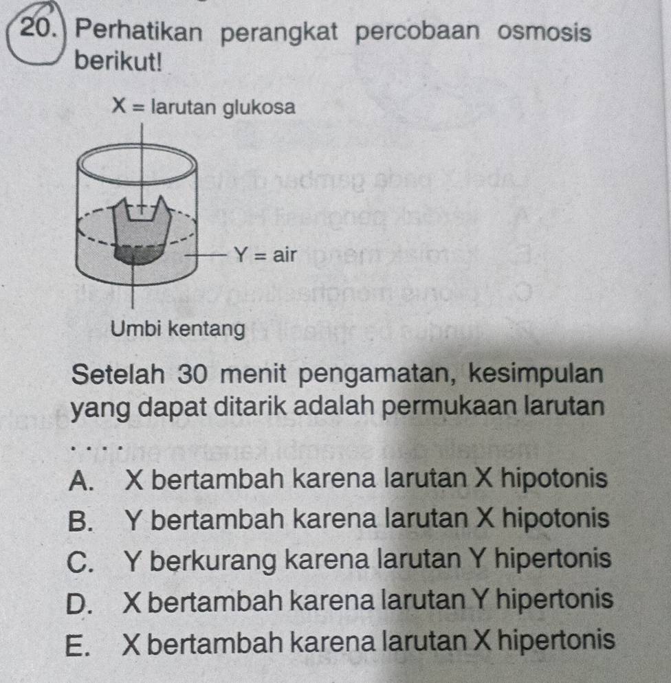 Perhatikan perangkat percobaan osmosis
berikut!
X= larutan glukosa
Umbi kentang
Setelah 30 menit pengamatan, kesimpulan
yang dapat ditarik adalah permukaan larutan
A. X bertambah karena larutan X hipotonis
B. Y bertambah karena larutan X hipotonis
C. Y berkurang karena larutan Y hipertonis
D. X bertambah karena larutan Y hipertonis
E. X bertambah karena larutan X hipertonis