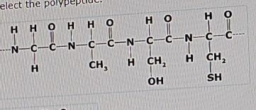 elect the polypeptie.