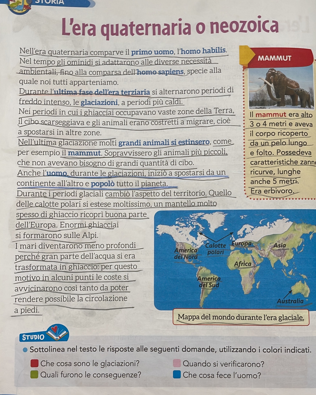 STORIA
L'era quaternaria o neozoica
Nell’era quaternaria comparve il primo uomo, l’homo habilis.
Nel tempo gli ominidi si adattarono alle diverse necessità
MAMMUT
ambientali, fino alla comparsa dell’homo sapiens, specie alla
quale noi tutti apparteniamo.
Durante l’ultima fase dell’era terziaria si alternarono periodi di
freddo intenso, le glaciazioni, a periodi più caldi.
Nei periodi in cui i ghiacciai occupavano vaste zone della Terra, Il mammut era alto
il cibo scarseggiava e gli animali erano costretti a migrare, cioè 3 o 4 metri e aveva
a spostarsi in altre zone. il corpo ricoperto
Nell’ultima glaciazione molti grandi animali si estinsero, come da un pelo lungo
per esempio il mammut. Sopravvissero gli animali più piccoli, e folto. Possedeva
che non avevano bisogno di grandi quantità di cibo. caratteristiche zann
Anche l'uomo, durante le glaciazioni, iniziò a spostarsi da un ricurve, lunghe
continente all’altro e popolò tutto il pianeta. anche 5 metri.
Durante i periodi glaciali cambiò l’aspetto del territorio. Quello Era erbivoro.
delle calotte polari si estese moltissimo, un mantello molto
spesso di ghiaccio ricoprì buona part
dell’Europa. Enormi ghiacciai
si formarono sulle Alpi.
I mari diventarono meno profondi 
perché gran parte dell’acqua si era
trasformata in ghiaccio: per questo 
motivo in alcuni punti le coste si
avvicinarono così tanto da poter
rendere possibile la circolazione
a piedi.
ra glaciale,
Studio
Sottolinea nel testo le risposte alle seguenti domande, utilizzando i colori indicati.
Che cosa sono le glaciazioni? Quando si verificarono?
Quali furono le conseguenze? Che cosa fece l'uomo?