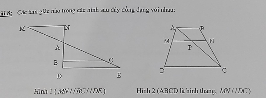 Sài 8: Các tam giác nào trong các hình sau đây đồng dạng với nhau: 
Hình | (MN//BC//DE) Hình 2 (ABCD là hình thang, MN//DC)