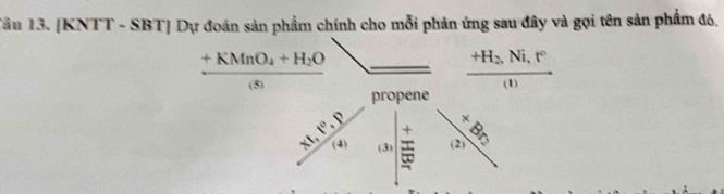 Tâu 13. |KNTT-SBT| D đoán sản phẩm chính cho mỗi phản ứng sau đây và gọi tên sản phẩm đ6,
frac +KMnO_4+H_2O(s)
frac +H_2,Ni,r°(I)
propene
 (xt,t^0,p)/(v)  (3) (2) _ +Br_2