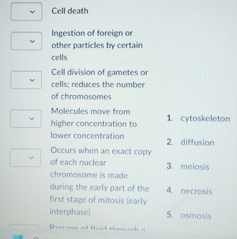 Cell death
Ingestion of foreign or
other particles by certain
cells
Cell division of gametes or
cells; reduces the number
of chromosomes
Molecules move from
higher concentration to 1. cytoskeleton
lower concentration 2. diffusion
Occurs when an exact copy
of each nuclear 3. meiosis
chromosome is made
during the early part of the 4. necrosis
first stage of mitosis (early
interphase) 5. osmosis
Dseesee of fluid through s