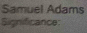 Samuel Adams 
Significance: