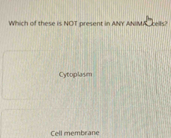 Which of these is NOT present in ANY ANIMA cells?
Cytoplasm
Cell membrane