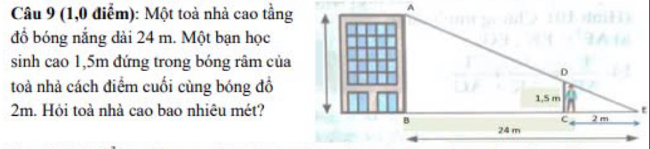 (1,0 điểm): Một toà nhà cao tầng 
đồ bóng nắng dài 24 m. Một bạn học 
sinh cao 1,5m đứng trong bóng râm của 
toà nhả cách điểm cuối cùng bóng đổ
2m. Hỏi toà nhà cao bao nhiêu mét?