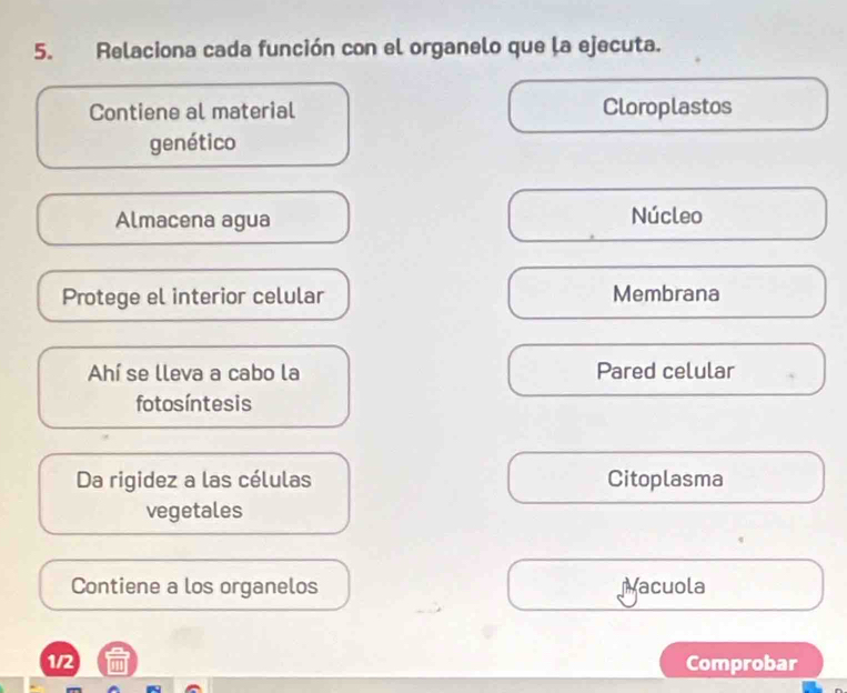 Relaciona cada función con el organelo que la ejecuta.
Contiene al material Cloroplastos
genético
Almacena agua Núcleo
Protege el interior celular Membrana
Ahí se lleva a cabo la Pared celular
fotosíntesis
Da rigidez a las células Citoplasma
vegetales
Contiene a los organelos Macuola
1/2 Comprobar