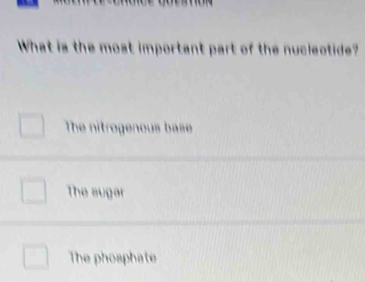 What is the most important part of the nucleotide?
The nitrogenous base
The sugar
The phosphate