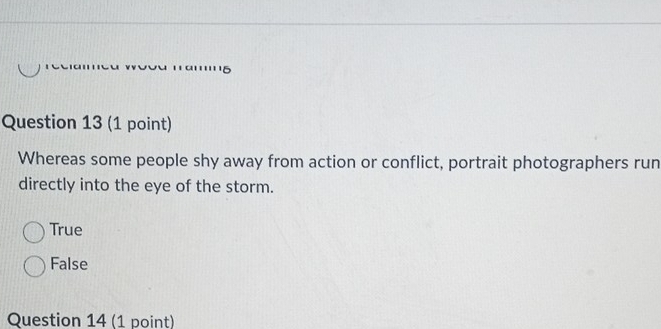 Whereas some people shy away from action or conflict, portrait photographers run
directly into the eye of the storm.
True
False
Question 14 (1 point)