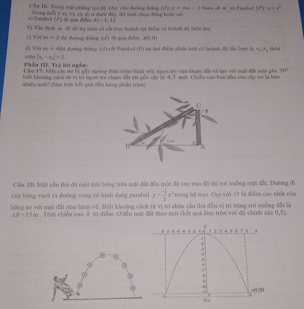 Trong mặt phẳng tọa độ Oxy cho đường thắng (d): y=mx-3 tham số m và Parabol (P):y=x^2. Trong mỗi ý a), b), c), d) ở dưới đây, thí sinh chọn đúng hoặc sai.
a) Parabol (P) đi qua điểm A(-1;1)
b) Xác định m đề đồ thị hàm số cất trục hoành tại điểm có hoành độ luôn âm.
c) Với m=2 thì đường thắng (đ) đi qua điểm A(1,0)
d) Với m=4thl đường thắng (đ) cất Parabol (P) tại hai điểm phân biệt có hoành độ lần lượt là ; thóa
mān |x_1-x_2|=2.
Phần III. Trã lời ngắn:
Câu 17: Một cây tre bị gẫy ngang thân (như hình vẽ), ngọn tre vừa chạm đất và tạo với mặt đất một góc 30°
biết khoảng cách từ vị trí ngọn tre chạm đất tới gốc cây là 4,5 mét. Chiếu cao ban đầu của cây tre là bao
nhiêu mét? (lăm tròn kết quả đến hàng phần trăm)
Cầu 18: Một cầu thủ đá một trái bóng trên mặt đất đến một độ cao nào đó thì rơi xuống mặt đất. Đường đi
của bóng vạch ra đường cong có hình dạng parabol y= (-1)/5 x^2 trong hệ trục Oxy với O là điểm cao nhất của
bóng so với mặt đất như hình vẽ. Biết khoảng cách từ vị trí chân cầu thủ đến vị trí bóng rơi xuống đất là
AB=15m. Tính chiều cao h từ điểm Ođến mặt đất theo mét (kết quả làm tròn với độ chính xác 0,5).