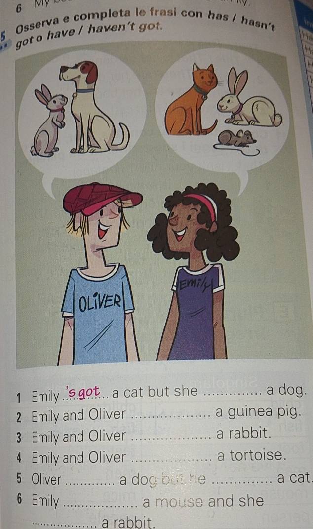 Mỹ L 

5 Osserva e completa le frasi con has / hasn't 
ve / haven't got. 
W 
H 
1 Emily_ a cat but she _a dog. 
2 Emily and Oliver _a guinea pig. 
3 Emily and Oliver _a rabbit. 
4 Emily and Oliver _a tortoise. 
5 Oliver _a dog but he _a cat. 
6 Emily _a mouse and she 
_a rabbit.