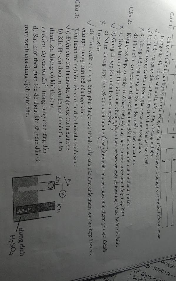 Gang và thép là hai hợp kim quan trọng của sắt. Chúng được sự dung trong nhiều lĩnh vực quan
d
trọng của đời sống, sản xuất, xây dựng và công nghiệp.
a) Thép và gang đều là hợp kim chứa kim loại cơ bản là sắt. ~
b) Hàm lượng carbon trong gang cao hơn trong thép.
c) Trong thép và gang chỉ có hai đơn chất là sắt và carbon.
d) Tính chất cơ học của thép có thể thay đổi khi có sự điều chỉnh thành phần.
Câu 2: Khung xe đạp, xe máy, ô tô hay thân vỏ máy bay thường được làm bằng hợp kim
a) Hợp kim là vật liệu kim loại chứa hai kim loai cơ bản và một số kim loại khác hoặc phi kim
b) Gang là hợp kim của iron và carbon. À
c) Nhìn chung hợp kim có tính chất hóa học khác tỉnh chất của các đơn chất tham gia tạo thành
hợp kim.
d) Tính chất của hợp kim phụ thuộc vào thành phần của các đơn chất tham gia tạo hợp kim và
cấu tạo mạng tinh thể của hợp kim.
Câu 3:  Tiến hành thí nghiệm về ăn mòn điện hoá như hình sau :
Va) Điện cực Zn là anode, điện cực Cu là cathode. 
b) Khí H_2 chỉ thoát ra trên bề mặt thanh Cu, trên 
thanh Zn không có khí thoát ra.
c) Nồng độ cation Zn^(2+) trong dung dịch tăng dần.
d) Sau một thời gian tốc độ thoát khí sẽ giảm dần và
màu xanh của dung dịch đậm dần.