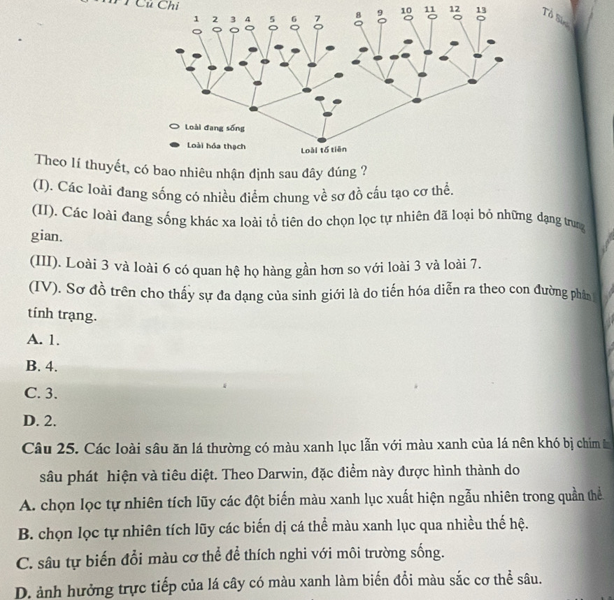 Cú Chi
11 12 Tổ Sự
Theo lí thuyết, co nhiêu nhận định sau đây đúng ?
(I). Các loài đang sống có nhiều điểm chung về sơ đồ cấu tạo cơ thể.
(II). Các loài đang sống khác xa loài tổ tiên do chọn lọc tự nhiên đã loại bỏ những dạng trung
gian.
(III). Loài 3 và loài 6 có quan hệ họ hàng gần hơn so với loài 3 và loài 7.
(IV). Sơ đồ trên cho thấy sự đa dạng của sinh giới là do tiến hóa diễn ra theo con đường phân
tính trạng.
A. 1.
B. 4.
C. 3.
D. 2.
Câu 25. Các loài sâu ăn lá thường có màu xanh lục lẫn với màu xanh của lá nên khó bị chim 
sâu phát hiện và tiêu diệt. Theo Darwin, đặc điểm này được hình thành do
A. chọn lọc tự nhiên tích lũy các đột biến màu xanh lục xuất hiện ngẫu nhiên trong quần thể
B. chọn lọc tự nhiên tích lũy các biến dị cá thể màu xanh lục qua nhiều thế hệ.
C. sâu tự biến đổi màu cơ thể để thích nghi với môi trường sống.
D. ảnh hưởng trực tiếp của lá cây có màu xanh làm biến đổi màu sắc cơ thể sâu.