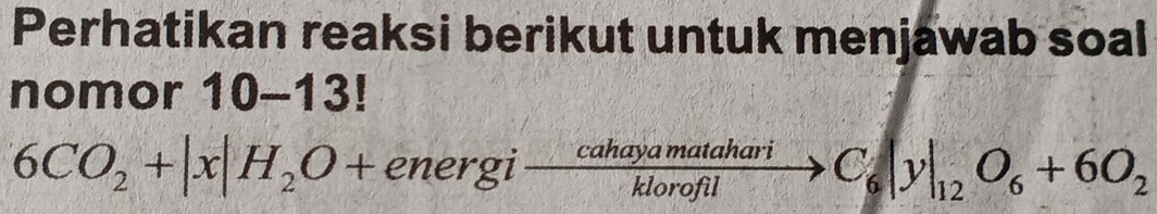 Perhatikan reaksi berikut untuk menjawab soal 
nomor 10-13!
6CO_2+|x|H_2O+energito  cahayamatahari/klorofil >C_6|y|_12O_6+6O_2