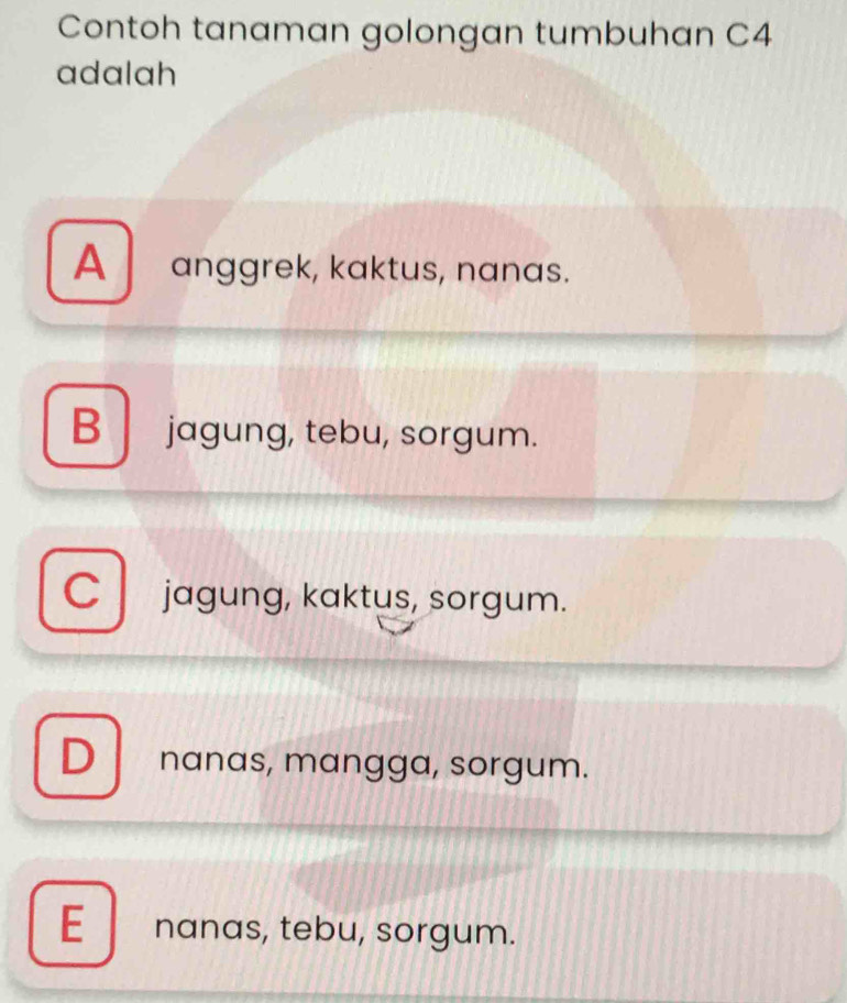 Contoh tanaman golongan tumbuhan C4
adalah
A anggrek, kaktus, nanas.
B jagung, tebu, sorgum.
Cjagung, kaktus, sorgum.
D nanas, mangga, sorgum.
E nanas, tebu, sorgum.