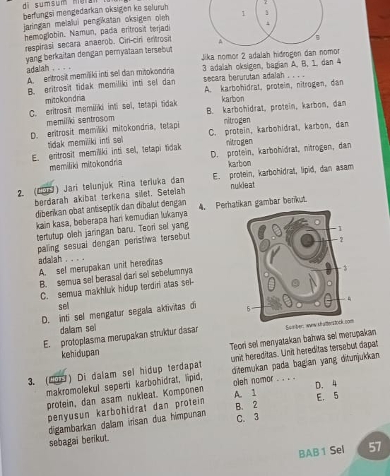 berfungsi mengedarkan oksigen ke seluruh
jaringan melalui pengikatan oksigen oleh
hemoglobin. Namun, pada eritrosit terjadi
respirasi secara anaerob. Ciri-ciri eritrosit 
yang berkaitan dengan pernyataan tersebut
Jika nomor 2 adalah hidrogenor
adalah . . . .
A. eritrosit memiliki inti sel dan mitokondria 3 adalah oksigen, bagian A, B, 1, dan 4
B. eritrosit tidak memiliki inti sel dan secara berurutan adalah . . . .
A. karbohidrat, protein, nitrogen, dan
mitokondria
C. eritrosit memiliki inti sel, tetapi tidak karbon
memiliki sentrosom B. karbohidrat, protein, karbon, dan
nitrogen
D. eritrosit memiliki mitokondria, tetapi C. protein, karbohidrat, karbon, dan
tidak memiliki inti sel
E. eritrosit memiliki inti sel, tetapi tidak nitrogen
memiliki mitokondria D. protein, karbohidrat, nitrogen, dan
karbon
2. (バ) Jari telunjuk Rina terluka dan E. protein, karbohidrat, lipid, dan asam
berdarah akibat terkena silet. Setelah nukieat
diberikan obat antiseptik dan dibalut dengan
kain kasa, beberapa hari kemudian lukanya 4. Perhatan gambar berikut.
tertutup oleh jaringan baru. Teori sel yang
paling sesuai dengan peristiwa tersebut
adalah . . . .
A. sel merupakan unit hereditas
B. semua sel berasal dari sel sebelumnya
C. semua makhluk hidup terdiri atas sel-
sel
D. inti sel mengatur segala aktivitas di 
dalam sel
E. protoplasma merupakan struktur dasar
Teori sel menyatakan bahwa sel merupakan
kehidupan
3. (2) Di dalam sel hidup terdapat unit hereditas. Unit hereditas tersebut dapat
makromolekul seperti karbohidrat, lipid, oleh nomor . . . . ditemukan pada bagian yang ditunjukkan
protein, dan asam nukleat. Komponen A. 1
penyusun karbohidrat dan protein D. 4
B. 2
digambarkan dalam irisan dua himpunan E. 5
sebagai berikut. C. 3
BAB 1 Sel 57