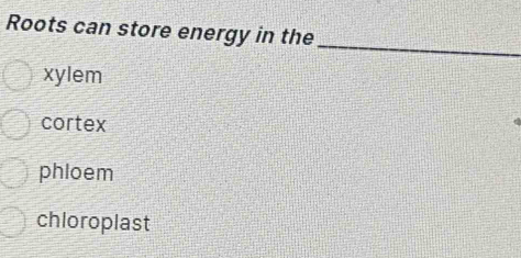 Roots can store energy in the
_
xylem
cortex
phloem
chloroplast