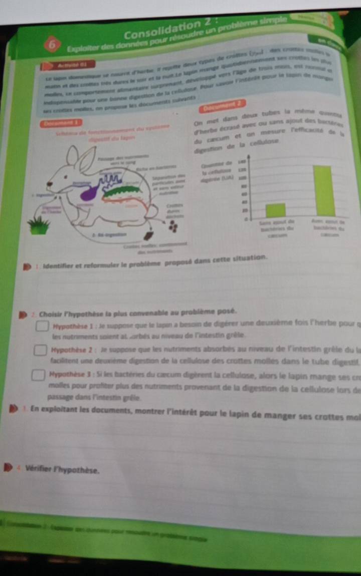 Consolidation 2 :
Explaiter des données pour résoudre un problème simple
    
Arthuté 61
Le Mb domeque se aourrt d'harbe a mote deux tes de croltes (yool : des critée mles o
muln et des crodtes trêu dures ln soir et la muie Le lgon rvarage quaticiensenent ses crottis lee ple
mullen, le comportement almantaire surpreant, dévrloppé vérs l'âge de trois mois, est runnul e
indmpeae pour une ponne dipestion de la celutose. Pur savow lintérie pour le labin de monge
us crottes malles, on propose les documents sulvants
Doc umar
n met dans deux tubes lu même quentré
herte écrasé avec ou sans ajout des luctères
u cancum et on mesure l'efficaciéé de la
igestion de la cellulose
Quntoe
la cetlut
dagérée 
 
: Identifier et reformuler le problème proposé dans cette situation.
:  Choisir l'hypothèse la plus convenable au problème posé.
Hypothèse 1 : le suppose que le lapin a besoin de digérer une deuxième fois l'herbe pour q
les nutriments soient al sorbés au niveau de l'intestin grèle.
Hypothèse 2 : Je suppose que les nutriments absorbés au niveau de l'intestin grèle du la
facilitent une deuxième digestion de la cellulose des crottes mollés dans le tube digestif,
Hypothèse 3:5 les bactéries du cæœcum digèrent la cellulose, alors le lapin mange ses cr
molles pour profter plus des nutriments provenant de la digestion de la cellulose lors de
passage dans l'intestin grêle.
. En exploitant les documents, montrer l'intérêt pour le lapin de manger ses crottes moi
Vérifier l'hypothèse.
2 : Aapeise des duntres pour mesoudre un grathème srmgie