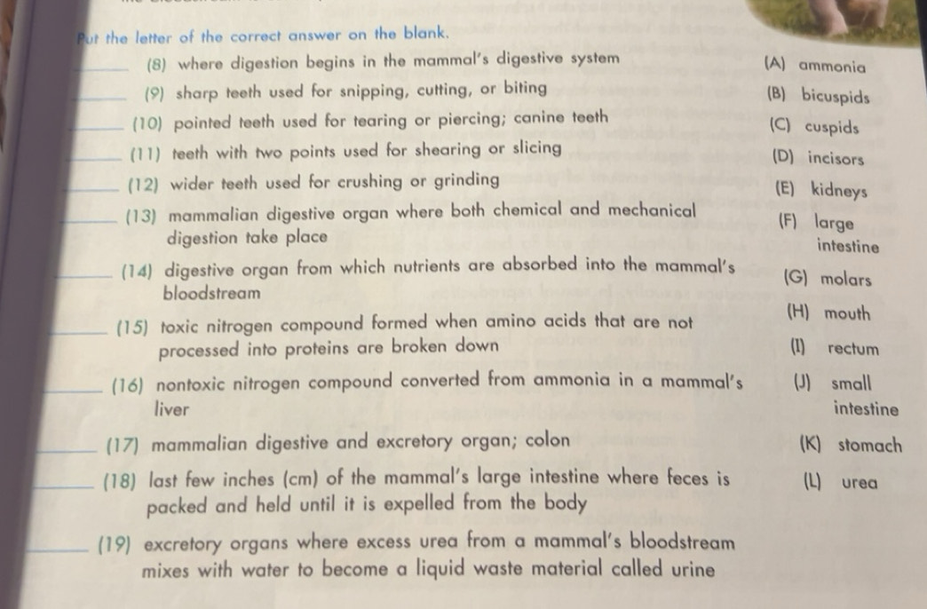 Solved: Put the letter of the correct answer on the blank. _(8) where ...