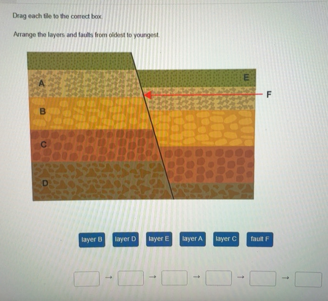 Solved: Drag each tile to the correct box. Arrange the layers and ...