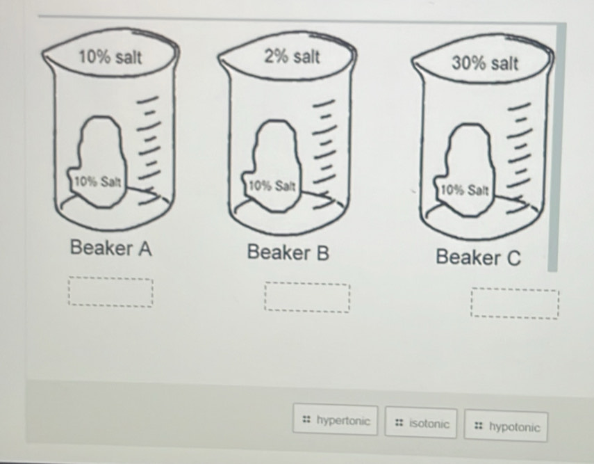 hypertonic isotonic :: hypotonic