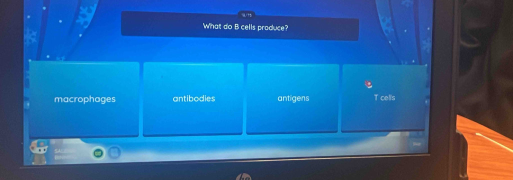 What do B cells produce?
macrophages antibodies antigens T cells