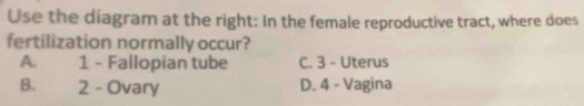 Use the diagram at the right: In the female reproductive tract, where does
fertilization normally occur?
A. 1 - Fallopian tube C. 3 - Uterus
B. 2 - Ovary D. 4 - Vagina