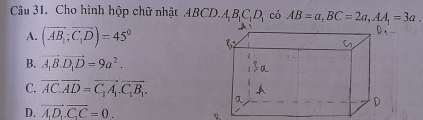 Cho hình hộp chữ nhật ABCD. A_1B_1C_1D_1 có AB=a, BC=2a, AA_1=3a.
A. (overline AB_1;overline C_1D)=45°
B. vector A_1B.vector D_1D=9a^2.
C. vector AC.vector AD=vector C_1A_1.vector C_1B_1.
D. vector A_1D_1.vector C_1C=0.