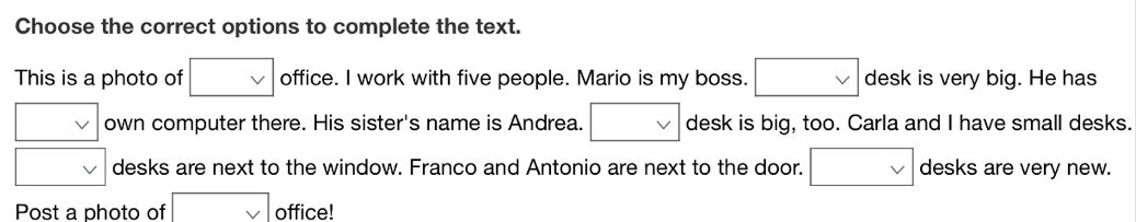 Choose the correct options to complete the text. 
This is a photo of □ office. I work with five people. Mario is my boss. □ vee  desk is very big. He has 
□ own computer there. His sister's name is Andrea. □ desk is big, too. Carla and I have small desks.
□ v desks are next to the window. Franco and Antonio are next to the door. □ vee  desks are very new. 
Post a photo of □ office!