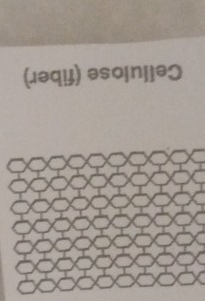 Cellulose (fiber)