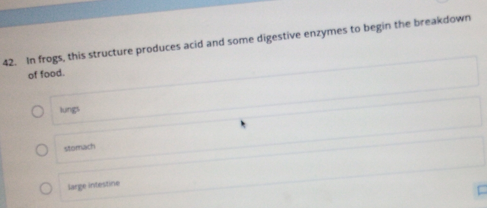 In frogs, this structure produces acid and some digestive enzymes to begin the breakdown
of food.
lungs
stomach
large intestine