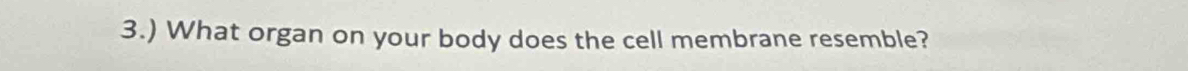 3.) What organ on your body does the cell membrane resemble?