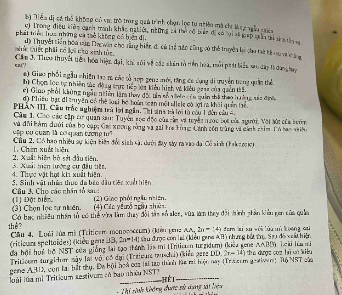 b) Biến dị cá thể không có vai trò trong quá trình chọn lọc tự nhiên mà chỉ là sự ngẫu nhiên.
c) Trong điều kiện cạnh tranh khác nghiệt, những cá thể có biển dị có lợi sẽ giúp quần thể sinh tồn và
phát triển hơn những cá thể không có biển dị.
d) Thuyết tiền hóa của Darwin cho rằng biển dị cá thể nào cũng có thể truyền lại cho thể hệ sau và không
nhất thiết phải có lợi cho sinh tồn.
Câu 3. Theo thuyết tiến hóa hiện đại, khi nói về các nhân tổ tiến hóa, mỗi phát biểu sau đây là đúng hay
sai?
a) Giao phối ngẫu nhiên tạo ra các tổ hợp gene mới, tăng đa dạng di truyền trong quần thể.
b) Chọn lọc tự nhiên tác động trực tiếp lên kiểu hình và kiểu gene của quần thể.
c) Giao phối không ngẫu nhiên làm thay đổi tần số allele của quần thể theo hướng xác định.
d) Phiêu bạt di truyền có thể loại bỏ hoàn toàn một allele có lợi ra khỏi quần thể.
PHÀN III. Câu trắc nghiệm trả lời ngắn. Thí sinh trả lời từ câu 1 đến câu 4.
Câu 1. Cho các cặp cơ quan sau: Tuyến nọc độc của rắn và tuyến nước bọt của người; Vòi hút của bướm
và đôi hàm dưới của bọ cạp; Gai xương rồng và gai hoa hồng; Cánh côn trùng và cánh chim. Có bao nhiêu
cặp cơ quan là cơ quan tương tự?
Câu 2. Có bao nhiều sự kiện biến đổi sinh vật dưới đây xảy ra vào đại Cổ sinh (Paleozoic)
1. Chim xuất hiện.
2. Xuất hiện bò sát đầu tiên.
3. Xuất hiện lưỡng cư đầu tiên.
4. Thực vật hạt kín xuất hiện.
5. Sinh vật nhân thực đa bào đầu tiên xuất hiện.
Câu 3. Cho các nhân tố sau:
(1) Đột biến. (2) Giao phối ngẫu nhiên.
(3) Chọn lọc tự nhiên.  (4) Các yếutố ngẫu nhiên.
Có bao nhiêu nhân tố có thể vừa làm thay đổi tần số alen, vừa làm thay đồi thành phần kiều gen của quần
thể? đem lai xa với lúa mì hoang dại
Câu 4. Loài lúa mì (Triticum monococcum) (kiều gene AA, 2n=14)
(riticum speltoides) (kiểu gene BB, 2n=14) thu được con lai (kiểu gene AB) nhưng bắt thụ. Sau đó xuất hiện
đa bội hoá bộ NST của giống lai tạo thành lúa mì (Triticum turgidum) (kiểu gene AABB). Loài lúa mì
Triticum turgidum này lai với cỏ dại (Triticum tauschii) (kiểu gene DD, 2n=14) thu được con lai có kiều
gene ABD, con lai bất thụ. Đa bội hoá con lại tao thành lúa mì hiện nay (Triticum gestivum). Bộ NST của
loài lúa mì Triticum aestivum có bao nhiêu NST?
hết
-  Thi sinh không được sử dụng tài liệu