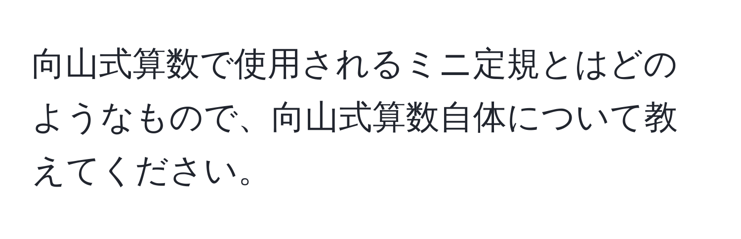 向山式算数で使用されるミニ定規とはどのようなもので、向山式算数自体について教えてください。