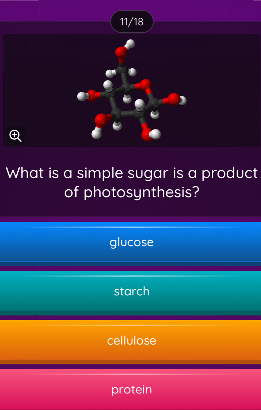 11/18
+
What is a simple sugar is a product
of photosynthesis?
glucose
starch
cellulose
protein