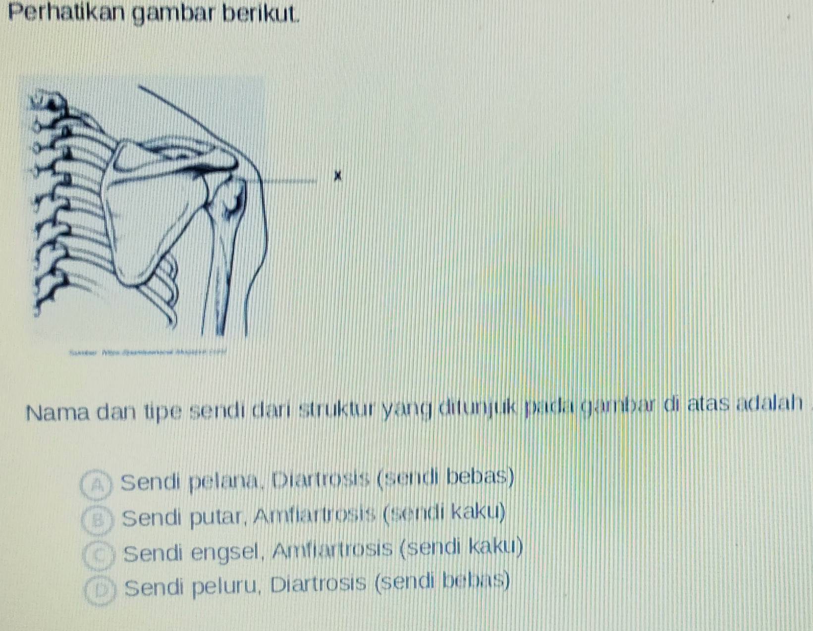 Telah dijawab:Perhatikan gambar berikut. Nama dan tipe sendi dari ...