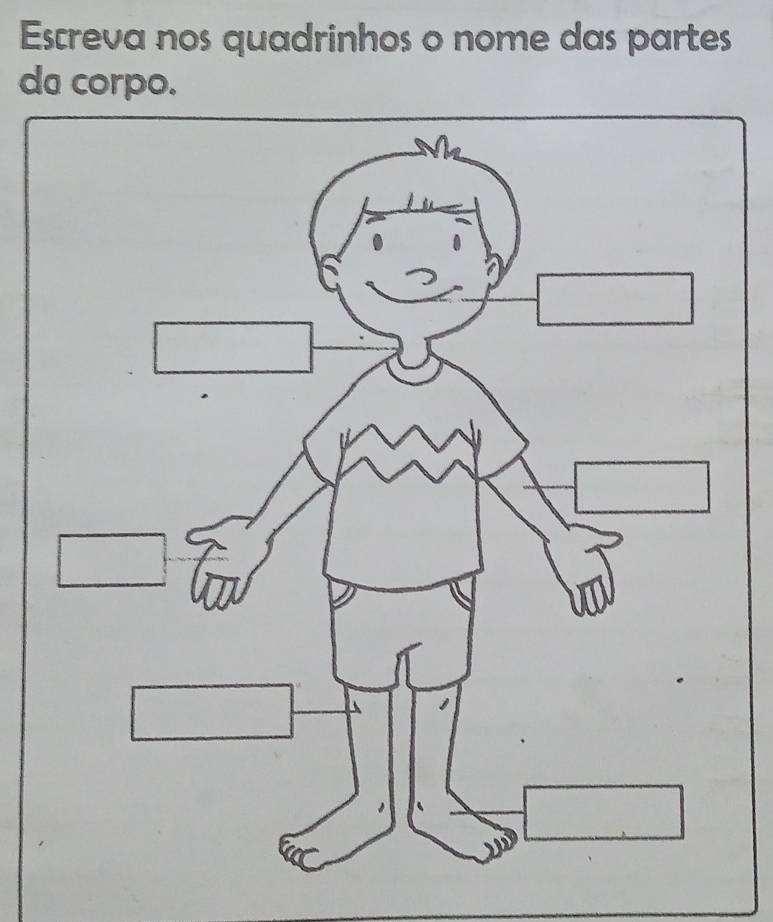 Escreva nos quadrinhos o nome das partes 
da corpo.