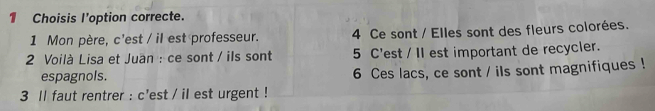 Choisis I'option correcte. 
1 Mon père, c'est / il est professeur. 4 Ce sont / Elles sont des fleurs colorées. 
2 Voilà Lisa et Juan : ce sont / ils sont 5 C'est / II est important de recycler. 
espagnols. 
6 Ces lacs, ce sont / ils sont magnifiques ! 
3 ll faut rentrer : c'est / iI est urgent !