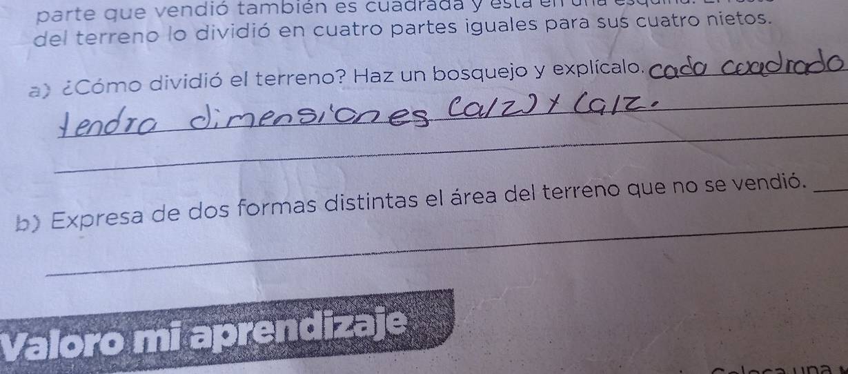 parte que vendió también es cuadrada y esta en una 
del terreno lo dividió en cuatro partes iguales para sus cuatro nietos. 
_ 
a) ¿Cómo dividió el terreno? Haz un bosquejo y explícalo._ 
_ 
_ 
b) Expresa de dos formas distintas el área del terreno que no se vendió._ 
Valoro mi aprendizaje