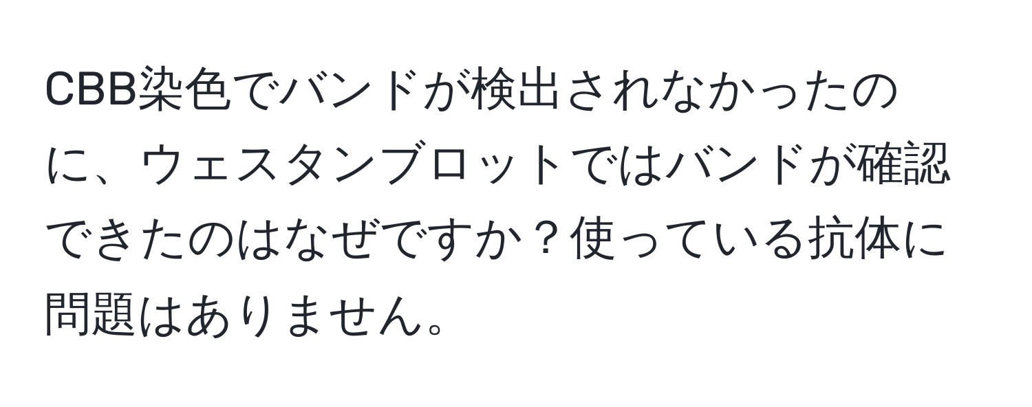 CBB染色でバンドが検出されなかったのに、ウェスタンブロットではバンドが確認できたのはなぜですか？使っている抗体に問題はありません。