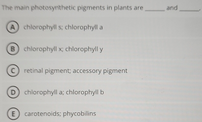 The main photosynthetic pigments in plants are _and_
A chlorophyll s; chlorophyll a
B  chiorophyll x; chlorophyll y
C retinal pigment; accessory pigment
Dchlorophyll a; chlorophyll b
E  carotenoids; phycobilins