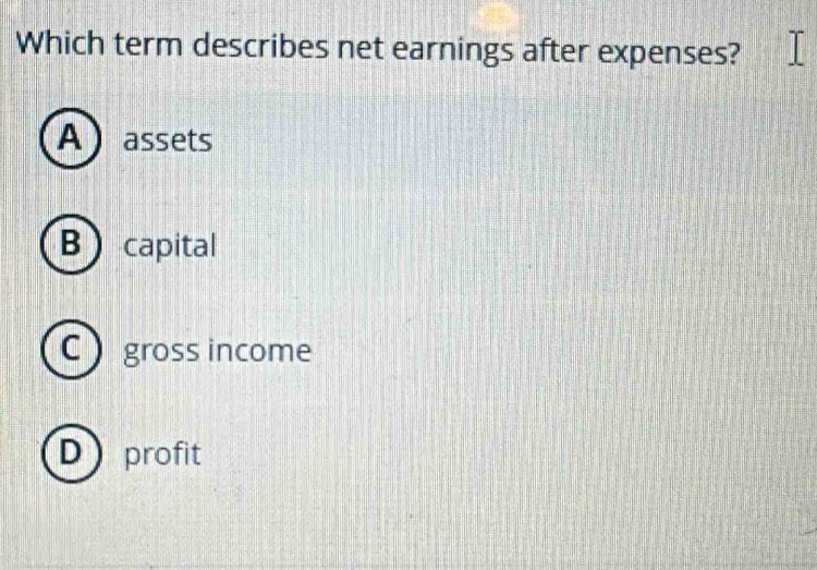 Which term describes net earnings after expenses?
A assets
B capital
C  gross income
D profit