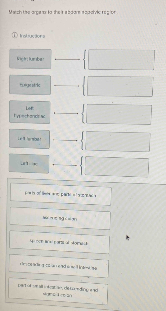 Match the organs to their abdominopelvic region.
① Instructions
Right lumbar
Epigastric
Left
hypochondriac
Left lumbar
Left iliac
parts of liver and parts of stomach
ascending colon
spleen and parts of stomach
descending colon and small intestine
part of small intestine, descending and
sigmoid colon