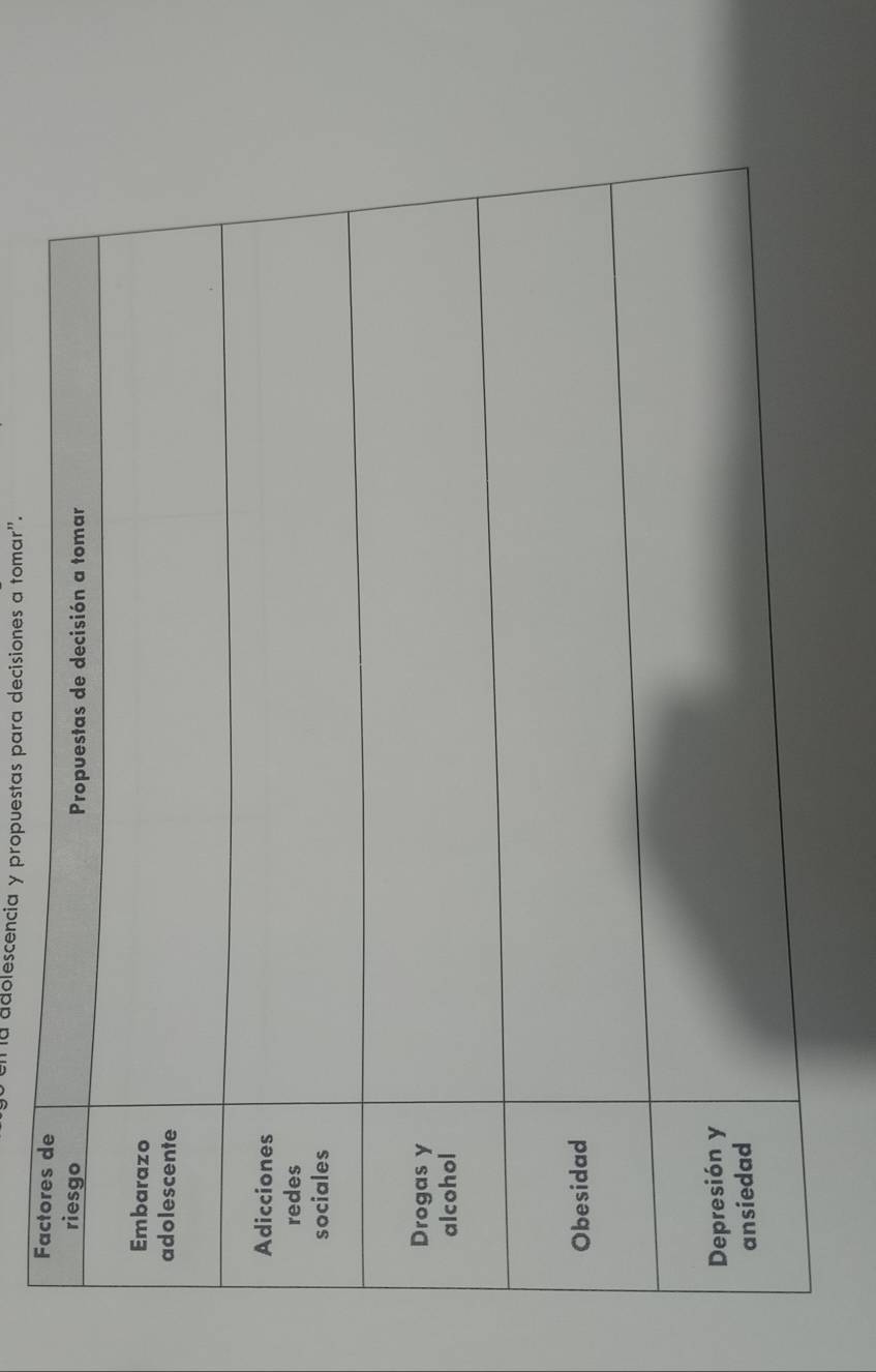 a adolescencia y propuestas para decisiones a tomar". 
Factores