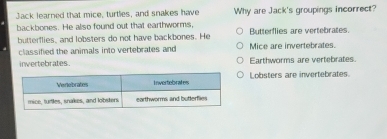 Solved: Jack learned that mice, turtles, and snakes have Why are Jack's ...